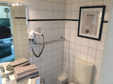 Suite | Bathroom | Hair dryer, towels, soap, toilet paper