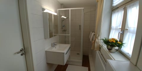 Standard Double Room | Bathroom | Shower, free toiletries, bathrobes, towels