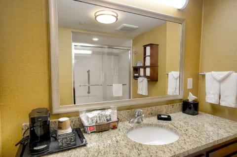 One Large King Studio Suite | Bathroom | Hair dryer, towels