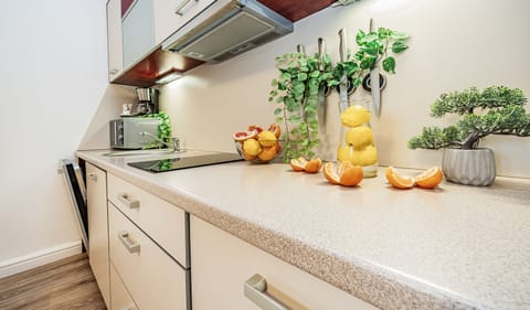 Deluxe Apartment | Private kitchen | Fridge, microwave, stovetop, dishwasher