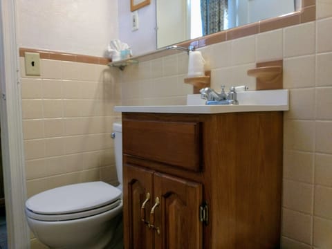 Combined shower/tub, free toiletries, hair dryer, towels