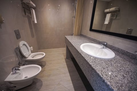 Shower, free toiletries, hair dryer, bathrobes