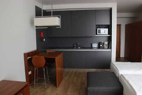 Panoramic Studio, 1 Bedroom, Kitchenette, Ocean View | Private kitchen | Mini-fridge, espresso maker, electric kettle, freezer