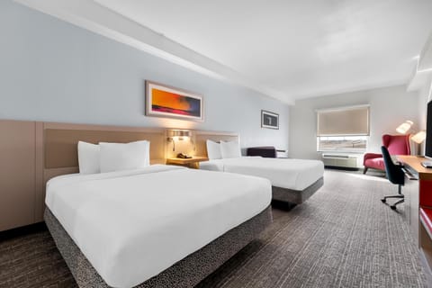 Hypo-allergenic bedding, down comforters, desk, blackout drapes