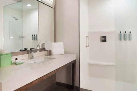 Shower, free toiletries, hair dryer, bathrobes