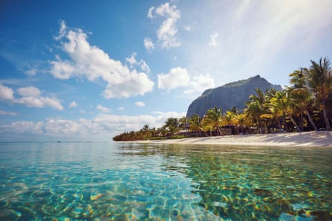 On the beach, white sand, sun loungers, beach umbrellas