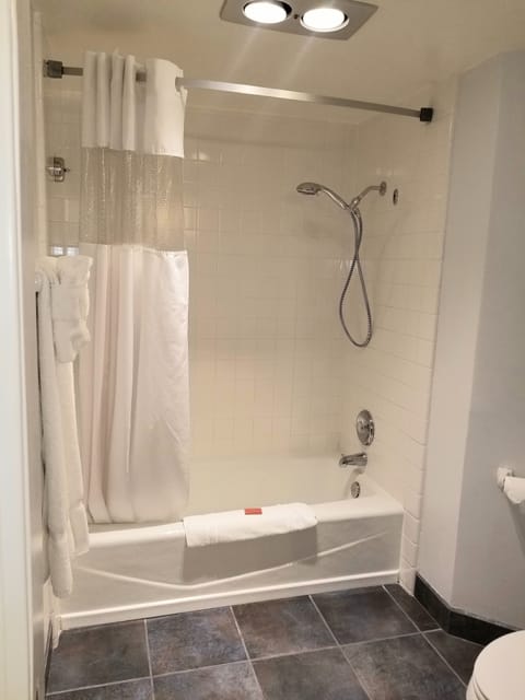 Combined shower/tub, free toiletries, hair dryer, bathrobes