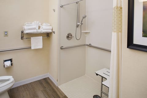 Room, 1 King Bed, Accessible, Non Smoking | Bathroom | Free toiletries, hair dryer, towels, soap