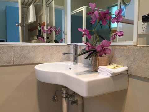 Deluxe Room, 1 King Bed, River View | Bathroom | Shower, free toiletries, hair dryer, towels