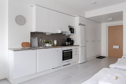 Family Studio | Private kitchenette | Full-size fridge, microwave, oven, stovetop