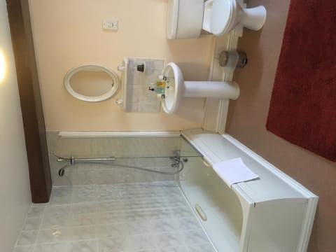 Combined shower/tub, free toiletries, hair dryer, towels