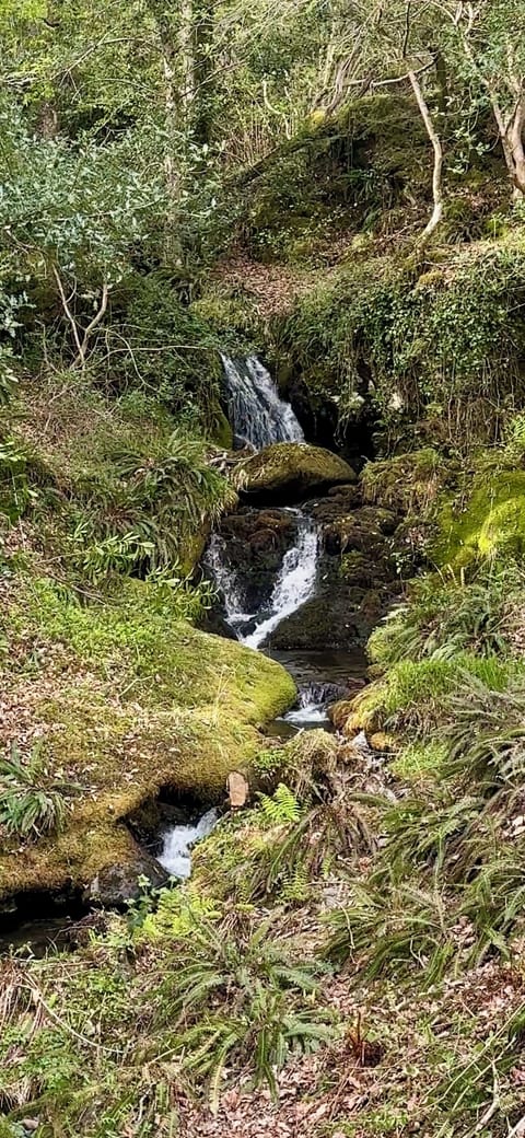 Waterfall Lodge 2 bedroom-No Pets | Balcony view