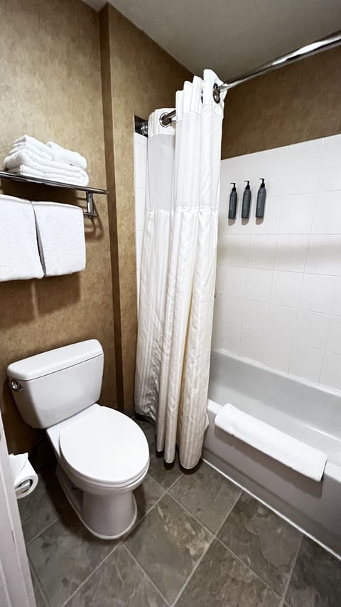 Combined shower/tub, free toiletries, hair dryer, towels