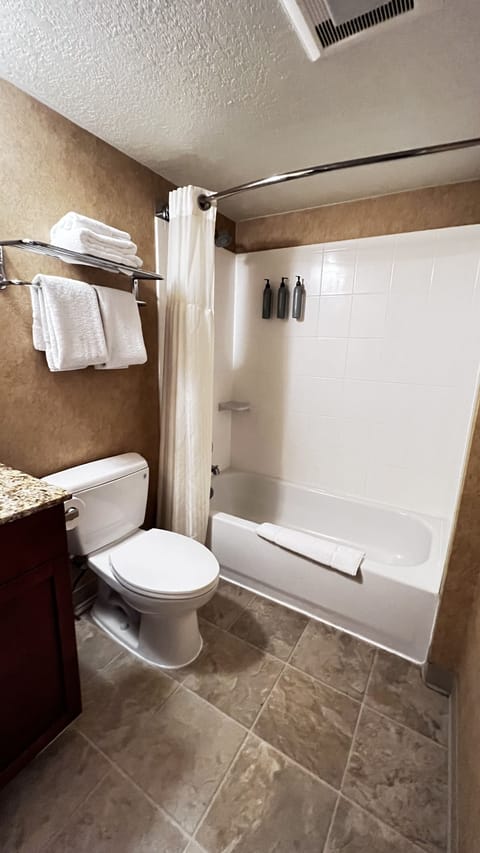 Combined shower/tub, free toiletries, hair dryer, towels