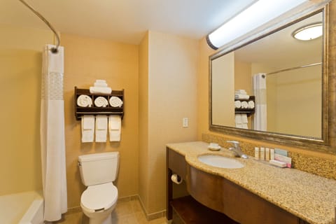 Combined shower/tub, free toiletries, hair dryer, towels