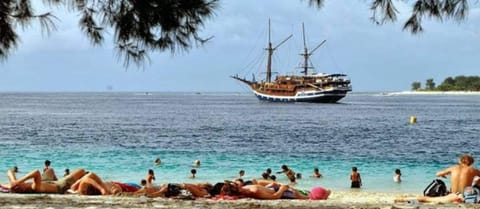 Beach nearby, white sand, rowing