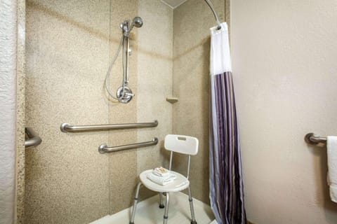 Combined shower/tub, free toiletries, hair dryer, towels