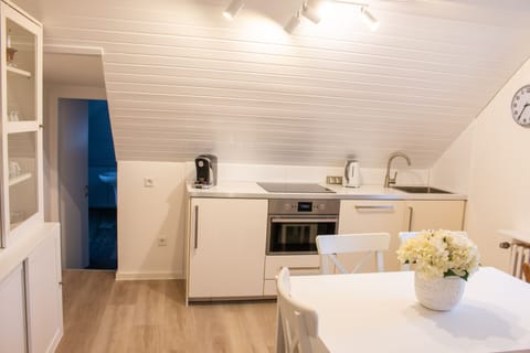 Apartment 3 in the attic with garden access | Private kitchen | Full-size fridge, microwave, oven, stovetop