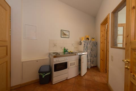 Apartment, Terrace | Private kitchenette | Fridge, microwave, oven, stovetop