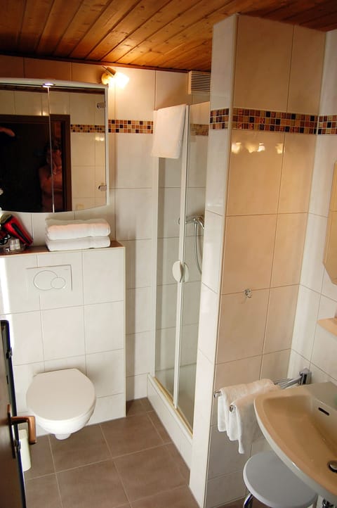 Double Room, Mountain View | Bathroom | Shower, free toiletries, hair dryer, towels