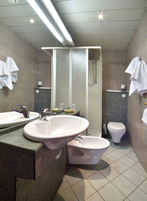 Shower, free toiletries, hair dryer, bidet