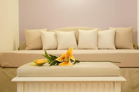 40-inch flat-screen TV with satellite channels