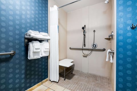 Studio, Accessible, Non Smoking | Bathroom shower