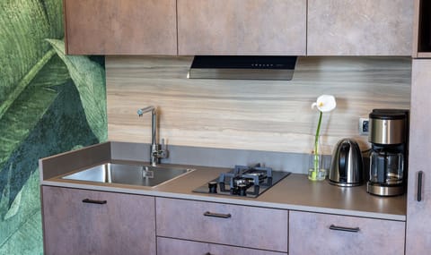 Deluxe Apartment | Private kitchen | Fridge, microwave, stovetop, electric kettle