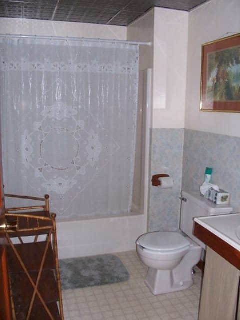 Combined shower/tub, free toiletries, hair dryer, towels