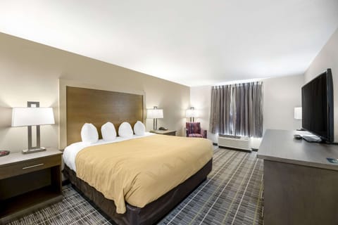 Standard Room, 1 King Bed, Non Smoking | Premium bedding, desk, laptop workspace, blackout drapes