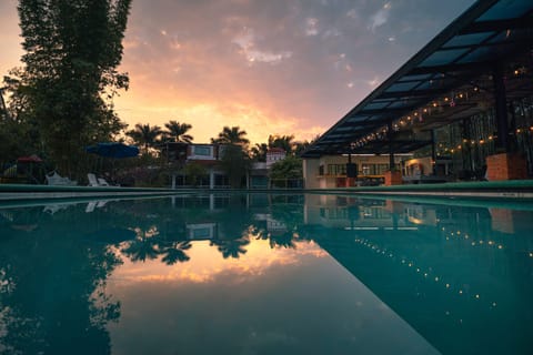 Outdoor pool, sun loungers