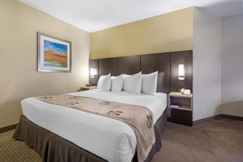 Standard Room, 1 King Bed, Non Smoking, Refrigerator | 1 bedroom, Egyptian cotton sheets, premium bedding, in-room safe