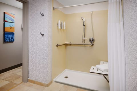 Room, Accessible, Non Smoking | Bathroom shower