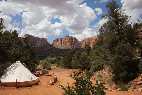 Tent | View from room