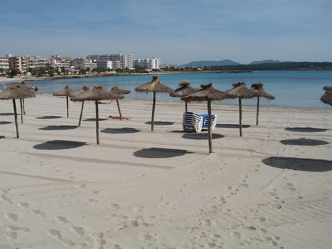 Beach nearby, white sand