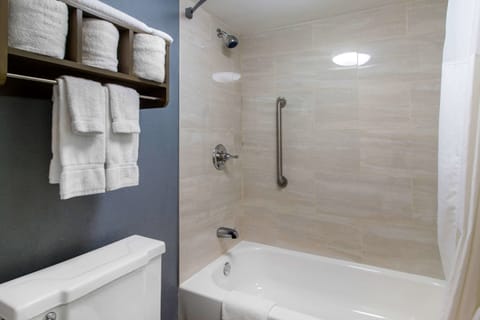 Combined shower/tub, free toiletries, hair dryer, towels