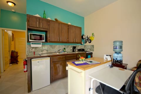 Deluxe Apartment, 1 King Bed, Non Smoking, Kitchen | Private kitchen | Fridge, microwave, oven, stovetop