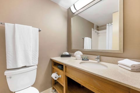 Shower, eco-friendly toiletries, hair dryer, towels