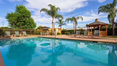 Outdoor pool, sun loungers