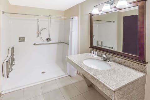 Standard Room, 1 King Bed, Accessible | Bathroom | Shower, free toiletries, hair dryer, towels