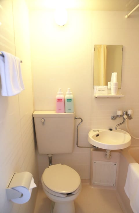 Separate tub and shower, free toiletries, hair dryer, slippers