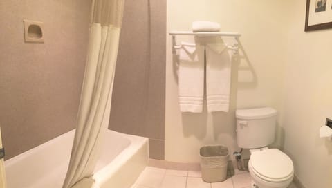 Combined shower/tub, eco-friendly toiletries, hair dryer, towels