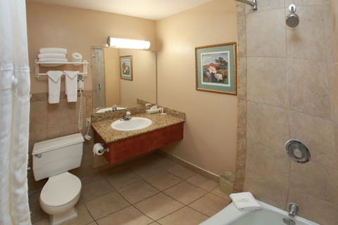 Combined shower/tub, free toiletries, hair dryer, towels