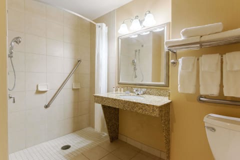 Combined shower/tub, free toiletries, hair dryer, towels