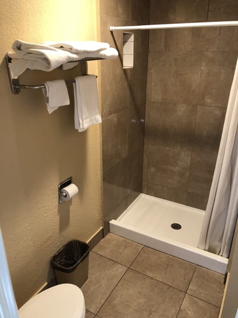 Deluxe Single Room, 1 King Bed | Bathroom shower