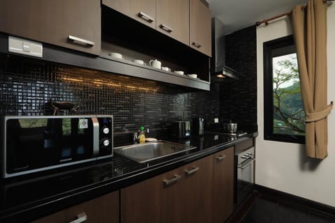 Superior Apartment | Private kitchen | Fridge, microwave, stovetop, electric kettle