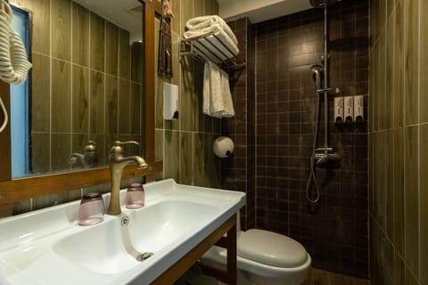 Standard Double Room | Bathroom | Shower, free toiletries, hair dryer, bathrobes