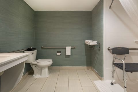 Standard Room, 1 King Bed, Accessible, Non Smoking | Accessible bathroom