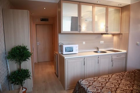 Studio | Private kitchen | Fridge, microwave, stovetop, electric kettle