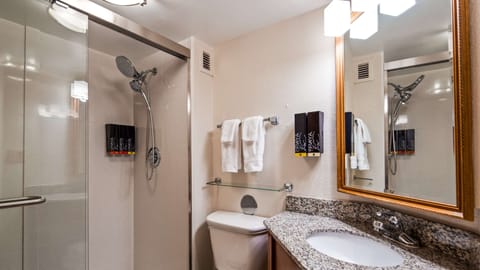 Combined shower/tub, eco-friendly toiletries, hair dryer, towels